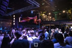 diaspora_events-129-scaled