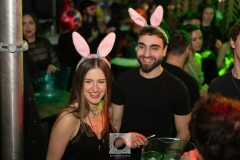 DSC08374 DSC08374