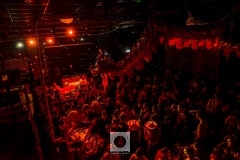 FiestaGrecaMarch1_2025-164