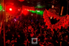 Fiesta-Greca-March-2023.04.03-80