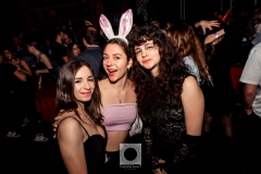 FiestaGreca_17feb24-69