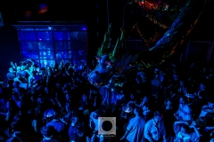 FiestaGreca_17feb24-96