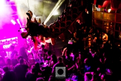 FiestaGrecaDec2024-97