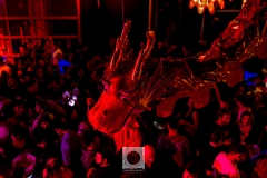 Fiesta-Greca-09.12.2023-212