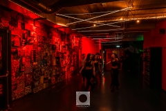 Fiesta-Greca-09.12.2023-26