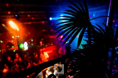 FiestaGrecaoct5th_24-142