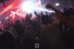 PJZ_3944